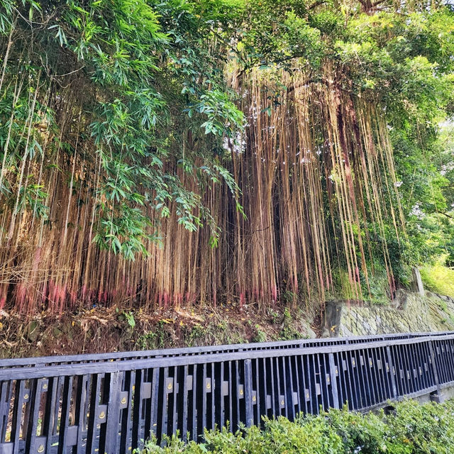 北投巡禮