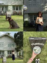 Murray’s คาเฟ่โฮมมี่ ใกล้ม่อนกุเวร จ.เชียงใหม่