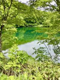 ♨️🏔️ Zao Onsen (蔵王温泉): A Winter & Summer Wonderland in Yamagata