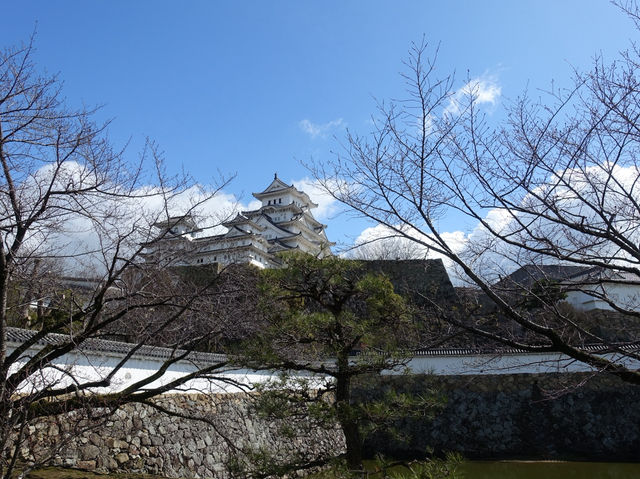 🏯 “White Heron Dreams: A Day at Majestic Himeji Castle”