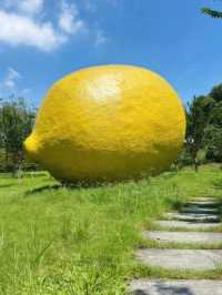 佛山大檸檬🍋順鋒山公園，$0 打卡熱點