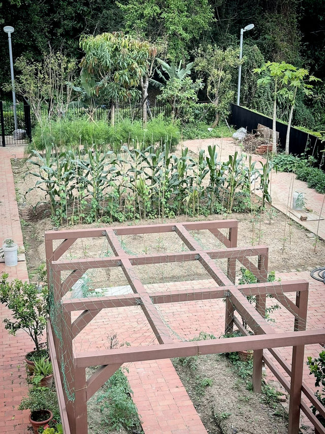 北投行義宮：都市山林中的靜謐祈福之地