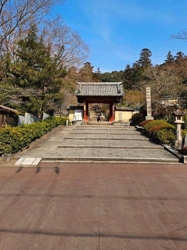 오사카 간신지 사찰에서 만난 평화로운 시간