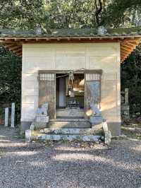 【海に続く神秘の鳥居⛩️阿古師神社で“祈りの絶景”に出会う】
