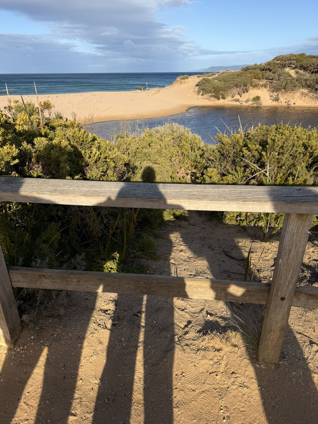 Ticked off one of Melbourne’s must-do experiences — the Great Ocean Road day tour! 🌊🚐 