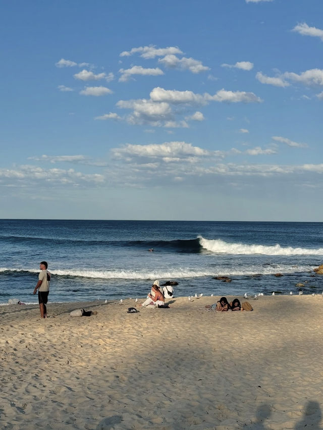 🏖️【海と街が出会う場所】ボンダイ・ビーチでアクティブ＆リラックス旅