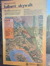 🌄【太古の大地と出会う】カカドゥ国立公園で冒険と癒しの旅