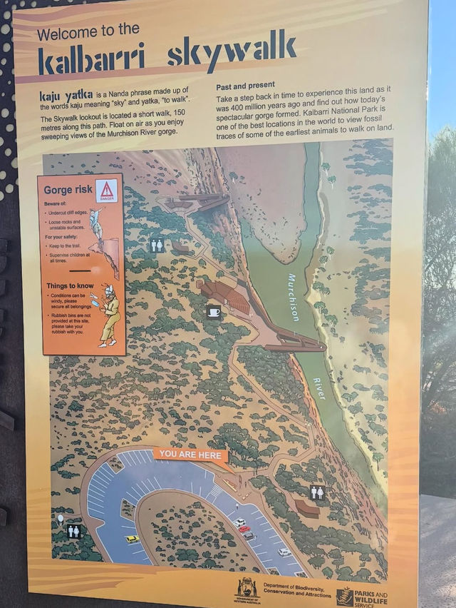 🌄【太古の大地と出会う】カカドゥ国立公園で冒険と癒しの旅
