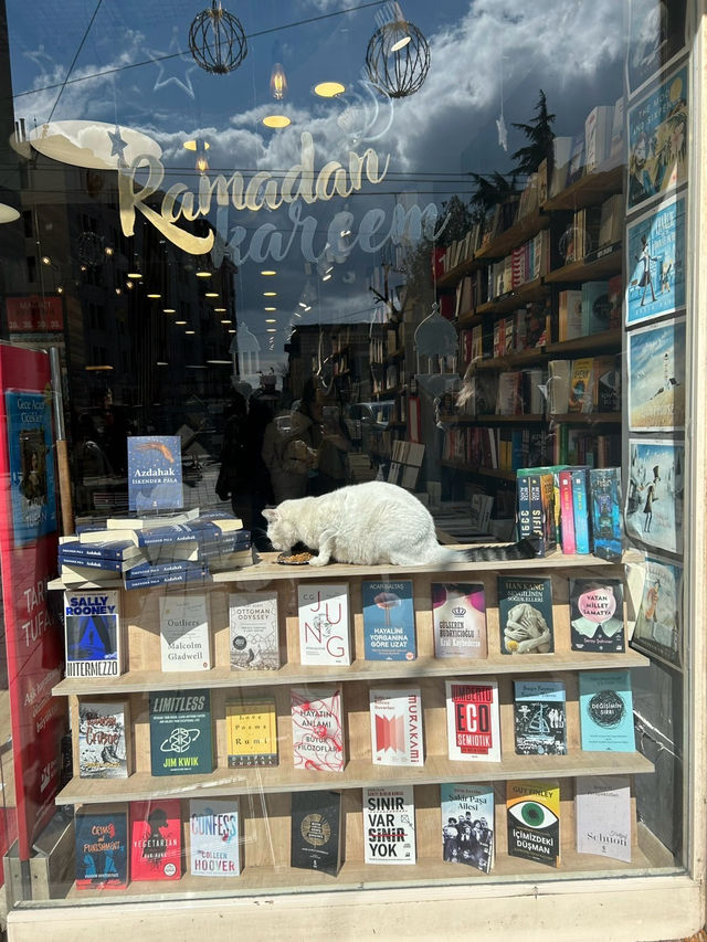 🇹🇷7日間のトルコ旅記録 ～イスタンブールとカッパドキアをめぐる～