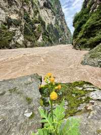 Carved by Time: A Journey into the Heart of Middle Tiger Leaping Gorge
