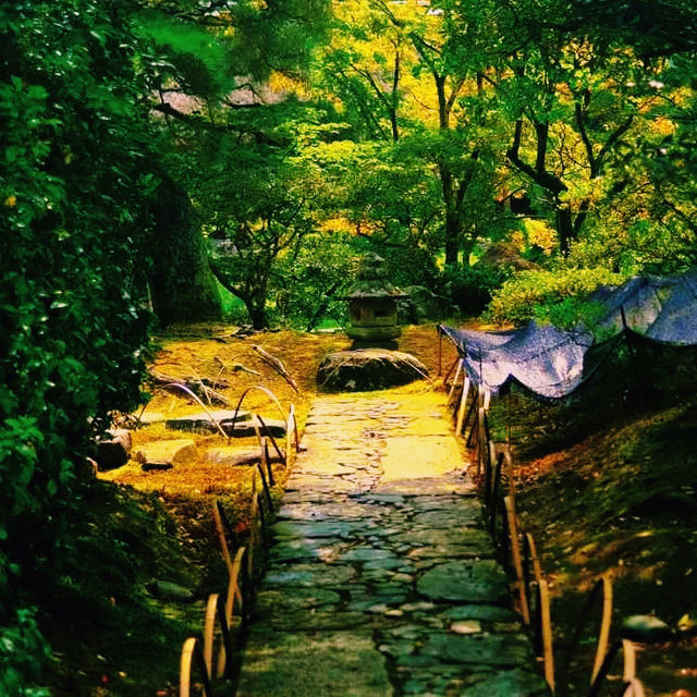 京都🇯🇵桂離宮