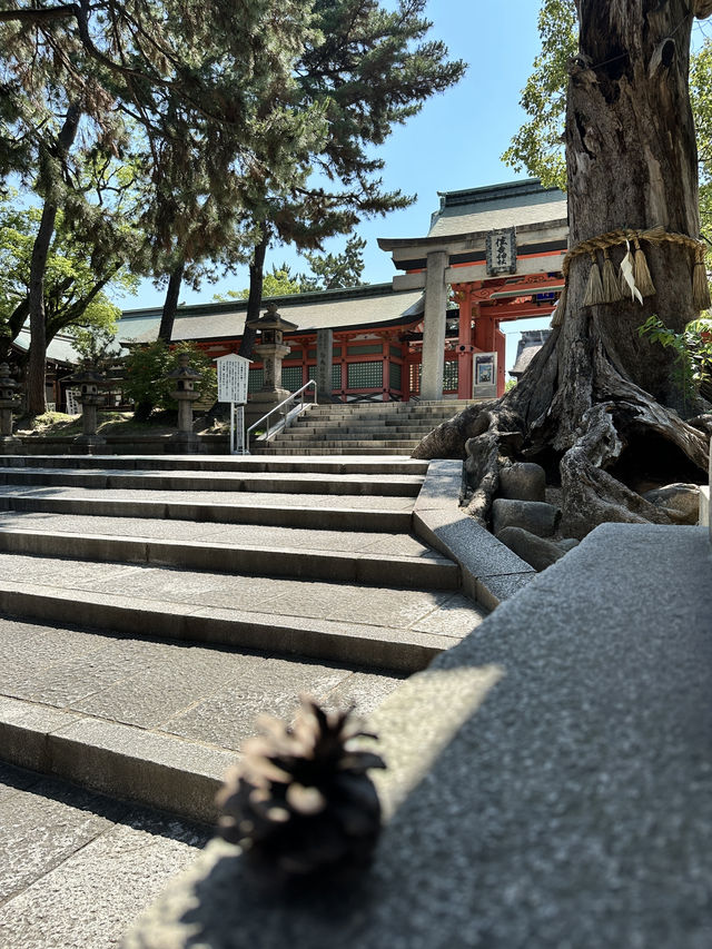 鄉村小憩