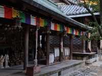 【圓満寺】恋愛成就のパワースポットで、願いを込める旅💌🌸