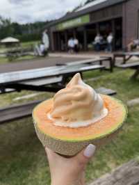 Hokkaido Summer 🪻🌼🌻🌷💐🍈🍦🍰