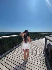 🌲Black Forest Tree Top Walk 🇩🇪