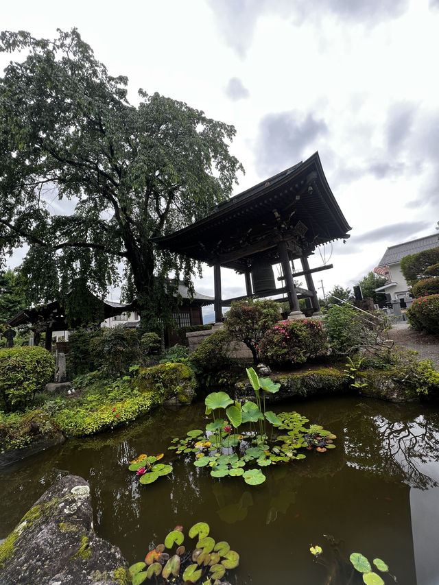 「自然に癒されたい。だけど、ただの観光地じゃ物足りない——そんな時、長野は“答え”になる。」