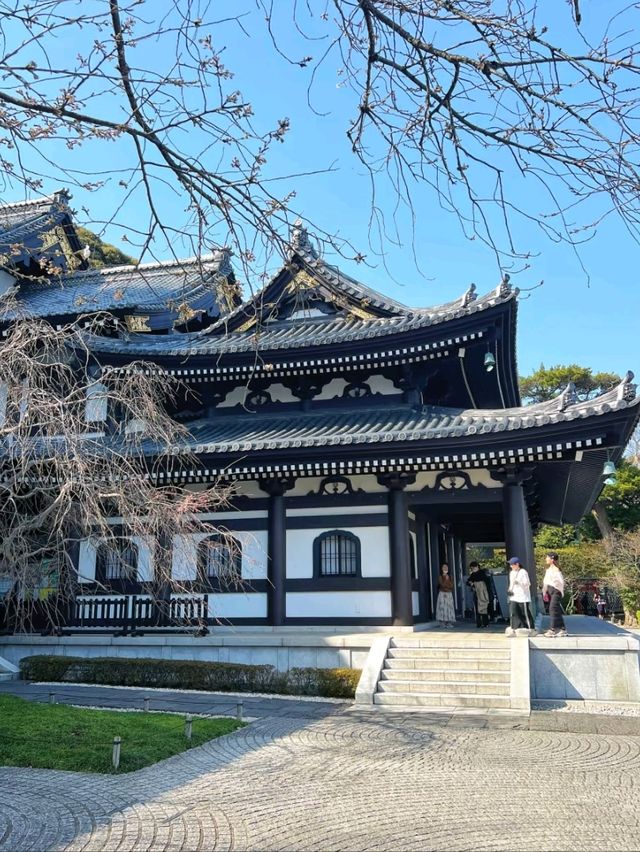 🎌✨ Tokyo Diaries: Where Cool Meets Culture! ✨🏙️