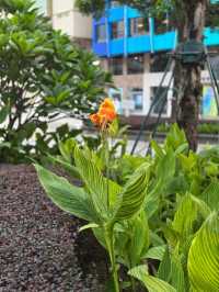 好有歐陸特色的加思欄花園
