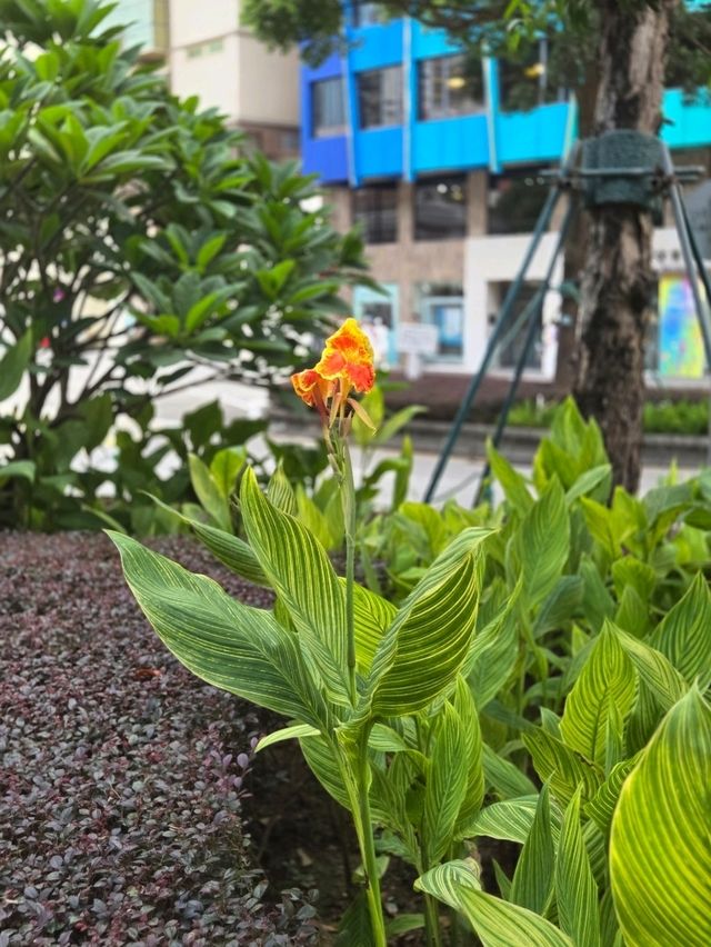 好有歐陸特色的加思欄花園