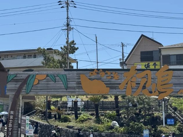Hatsushima Island: A Perfect Day Trip from Tokyo! 🏝️☀️