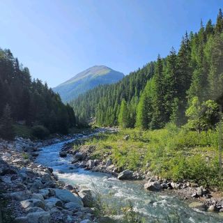 Swiss National Park (Engadin)