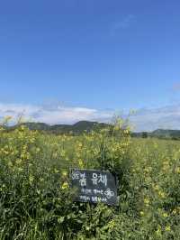 제주 서귀포시 가볼만한 곳, 보롬왓