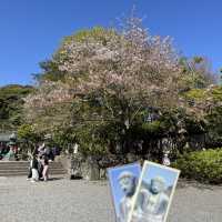 🗿🌿 The Great Buddha of Kamakura – Stillness in Bronze