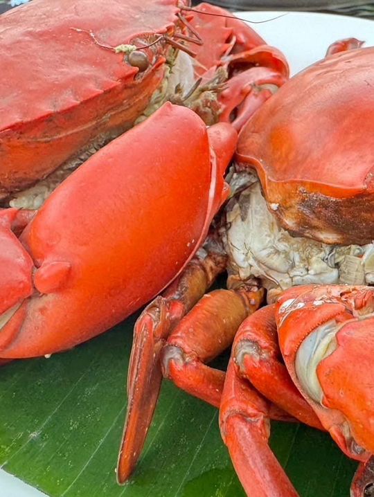 เพลินกิน ฟินปูผัด ร้านปูดำ กระบี่