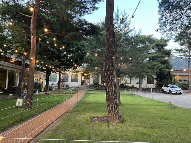 강변 야외 데이트