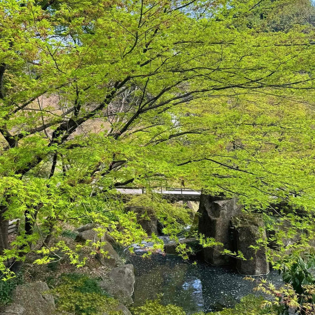 ～壽量院～清幽園林～