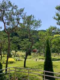 누워서 쉴 수 있는 카페⛺️