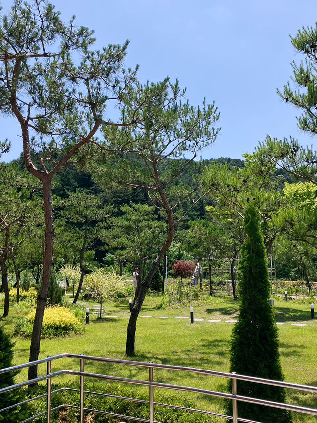 누워서 쉴 수 있는 카페⛺️