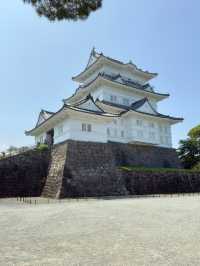 Discover the Magic of Hotoku Ninomiya Shrine: A Summer Adventure in Japan!
