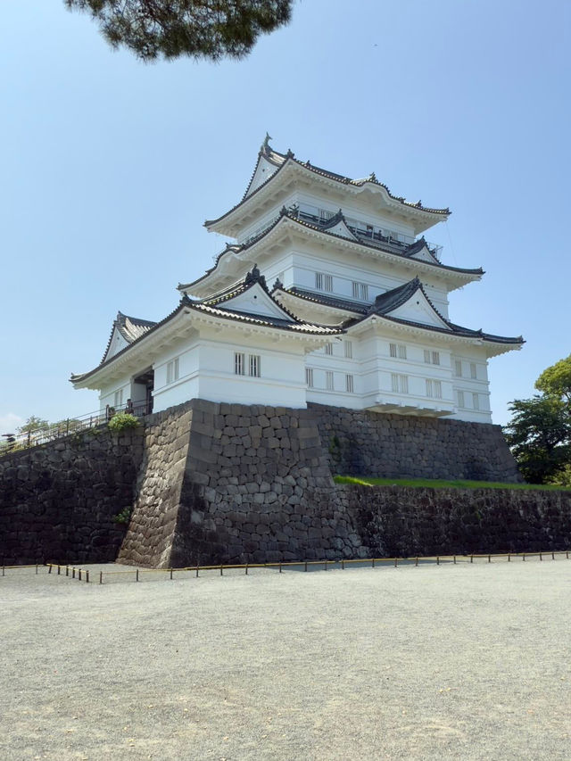 Discover the Magic of Hotoku Ninomiya Shrine: A Summer Adventure in Japan!