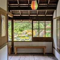 京都 | 青蓮院門跡，東山區優美的賞楓秘境