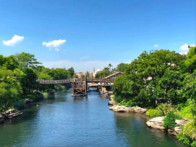 Discover Jungle Secrets at Lost River Delta!