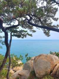 산과 바다를 동시에 즐길 수 있는 울산의 공원☘️