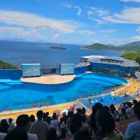 Ocean Park Hong Kong