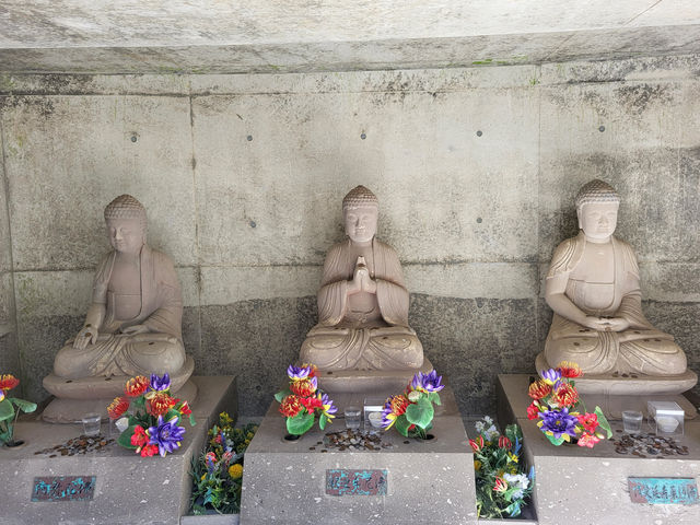 北海道真駒內靈園：薰衣草環繞的巨佛之境