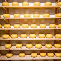 【オランダ名物】チーズ🧀