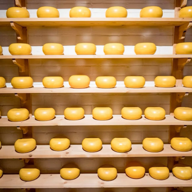 【オランダ名物】チーズ🧀
