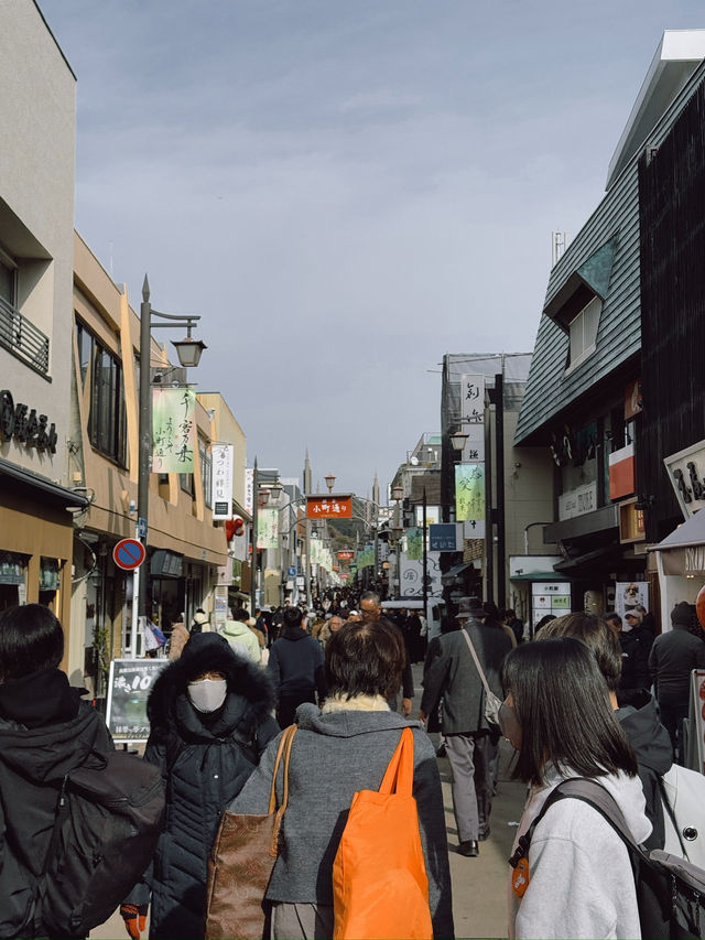🌿🚃 One Day Trip – Kamakura
