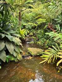 Spice Trails: A Journey Through Penang’s Botanical Wonderland