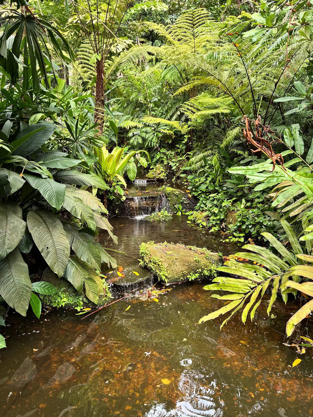 Spice Trails: A Journey Through Penang’s Botanical Wonderland