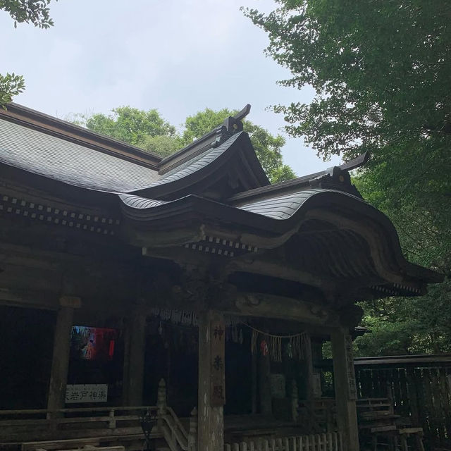 【宮崎】神話の扉を開く⛩️天岩戸神社で心を浄化する旅
