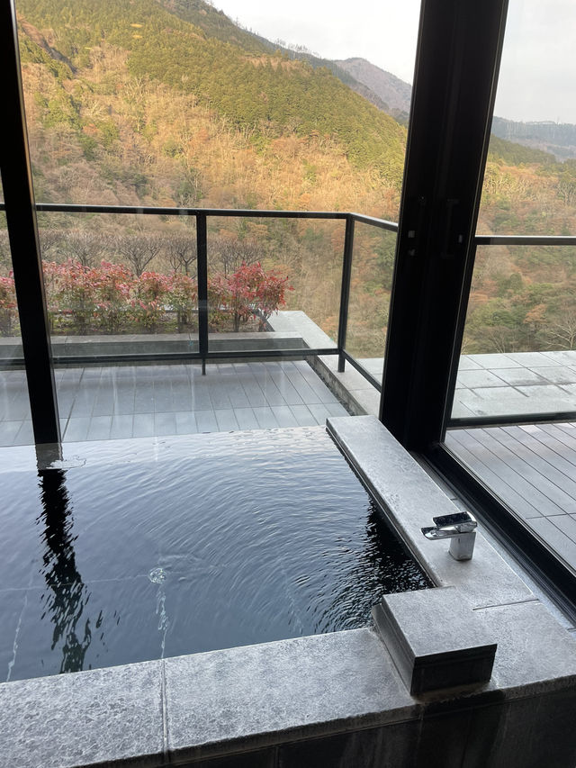 🏞️✨ XIV Hakone Palace – 프라이빗한 풍경과 철판 디너의 힐링 스테이 ✨🍽️