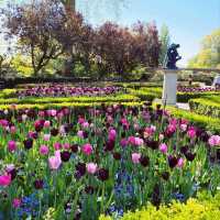Holland Park of Kensington
