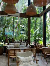 MiVana Organic Forest Coffee: A coffee shop which invites relaxation ☕️ 🌱 🍰 