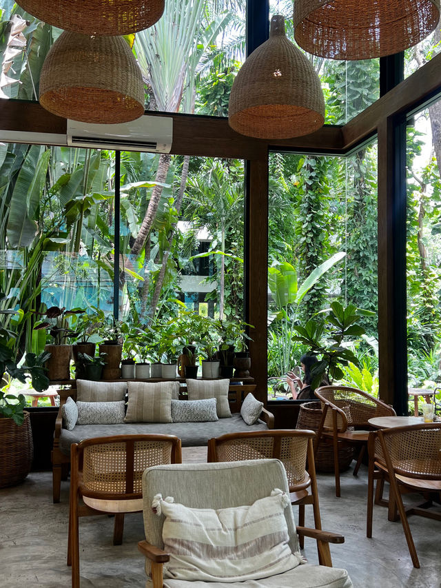 MiVana Organic Forest Coffee: A coffee shop which invites relaxation ☕️ 🌱 🍰 