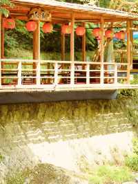 Minoh (箕面) – Osaka’s Nature Escape: Waterfalls, Maple Leaves & Craft Beer** 🍁🌿